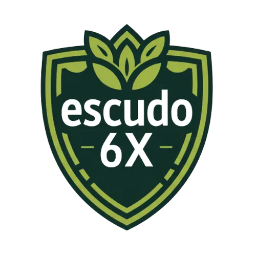 Escudo6X Logo